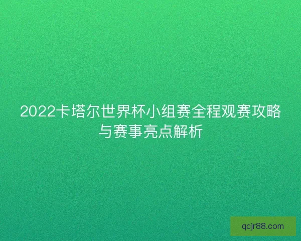 2022卡塔尔世界杯小组赛全程观赛攻略与赛事亮点解析