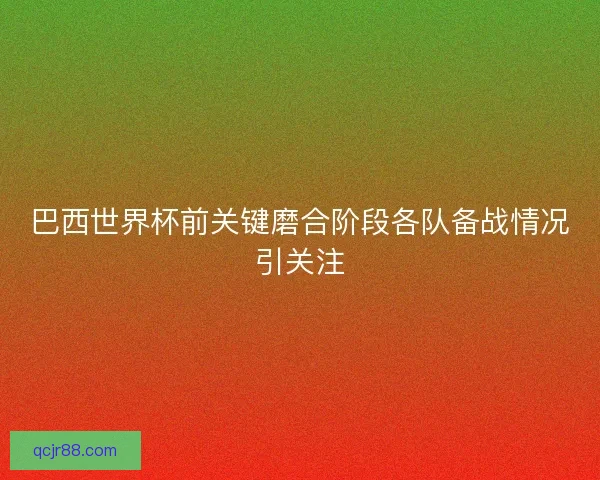 巴西世界杯前关键磨合阶段各队备战情况引关注