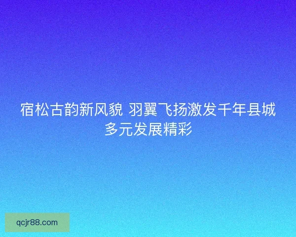 宿松古韵新风貌 羽翼飞扬激发千年县城多元发展精彩 宿松古韵新风貌 羽翼飞扬激发千年县城多元发展精彩